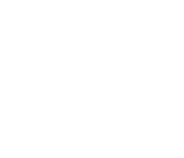 simb1branco
